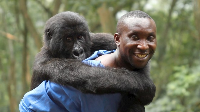 Andre with a beloved gorilla buddy