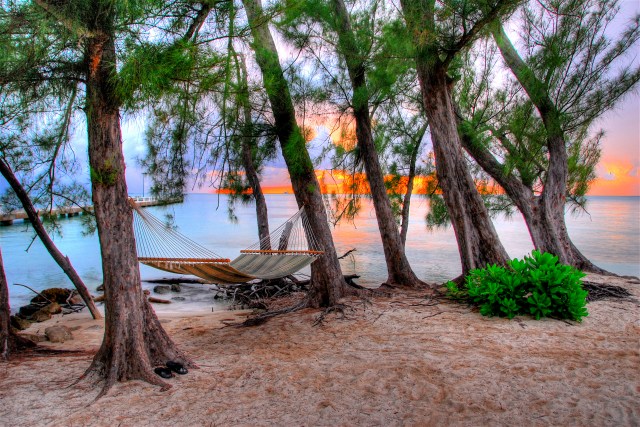 Hammock in paradise