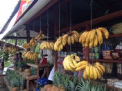 baby bananas