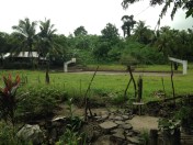basketball court