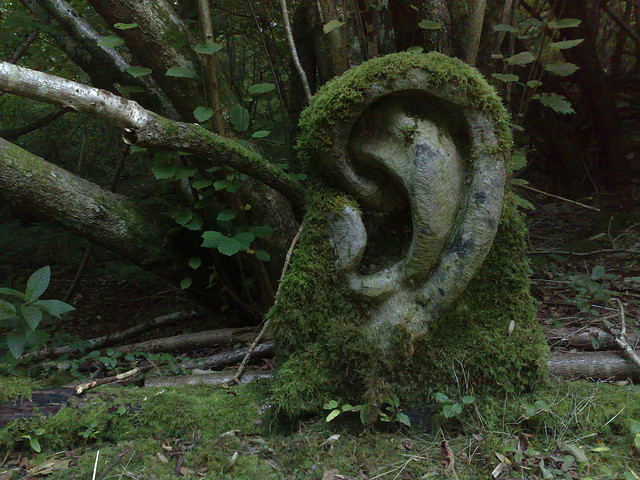 ear sculpture