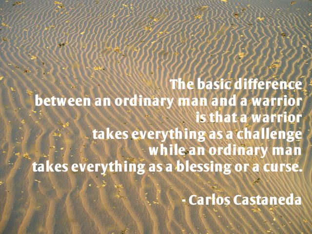 Carlos Castaneda quote