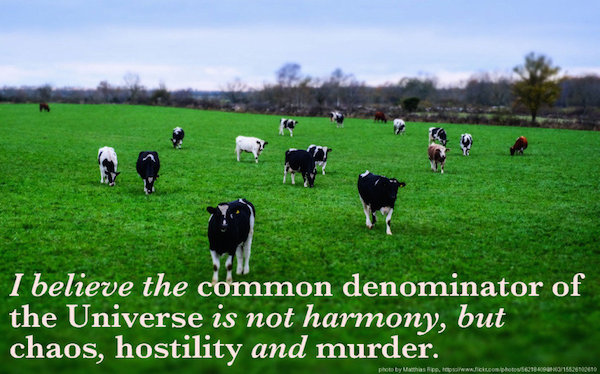 Werner Herzog inspirational quote