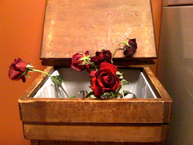 roses_in_the_trash.jpg