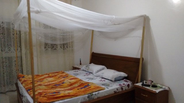 mosquito_net.jpg