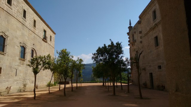 orangetreedentreeway