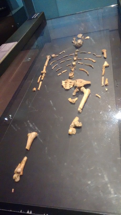 img_20160820_131443328