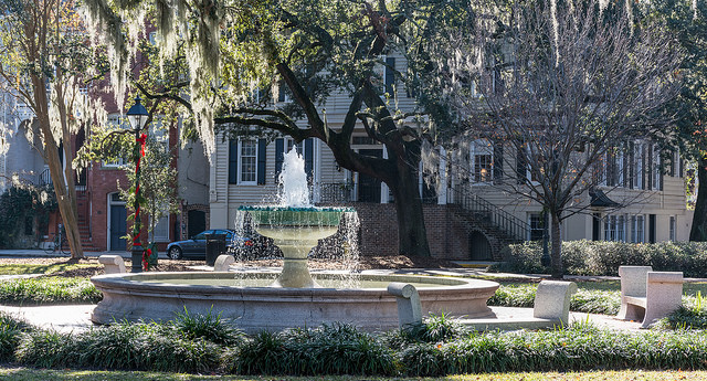 35677888532_1e36e8fc3f_z