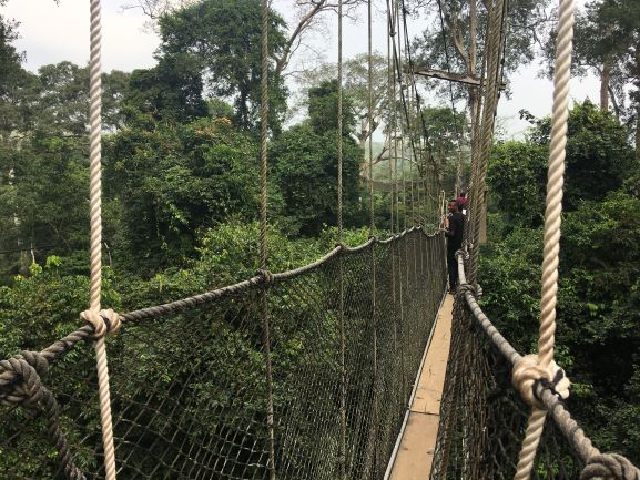 kakum national park canopy walk