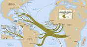 slave trade routes