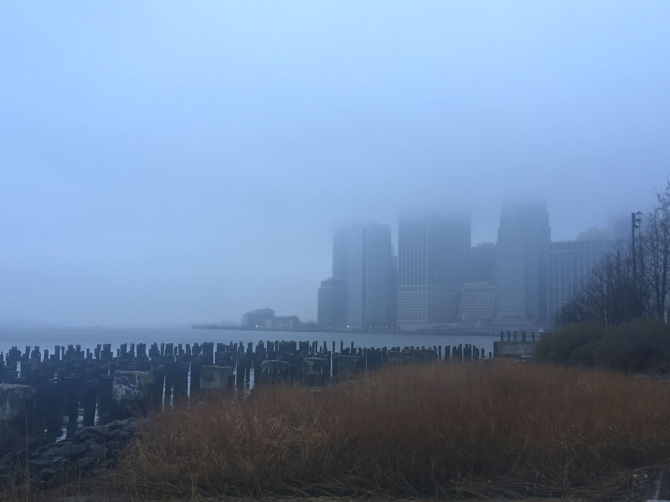 foggy new york